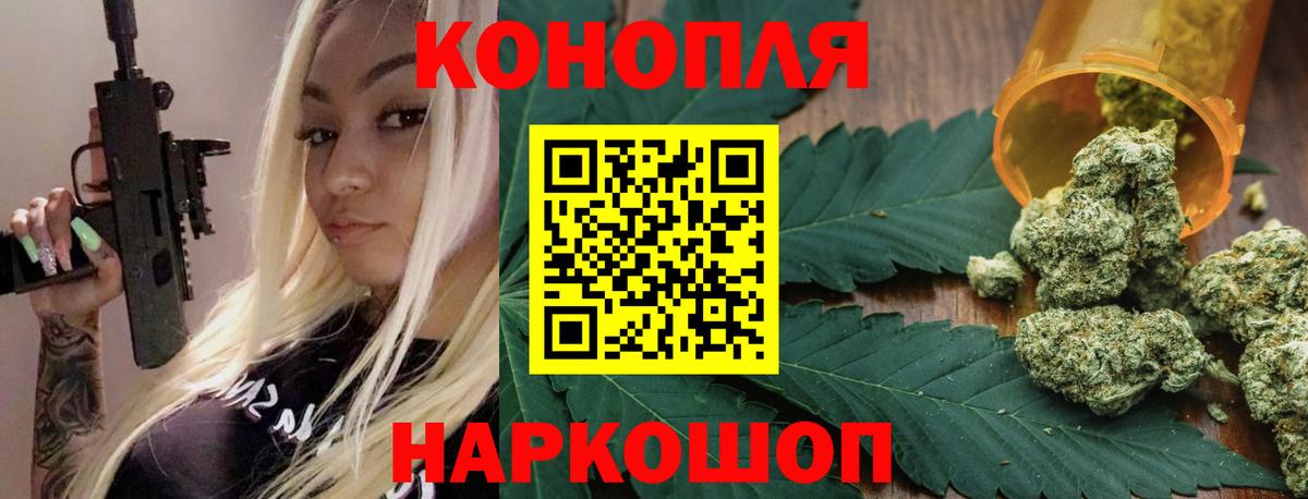 Бошки Шишки сатива  Каннабис Bruce Banner  МАРИХУАНА план  Дербент  Бошки марихуана планчик  Вход с VPN 